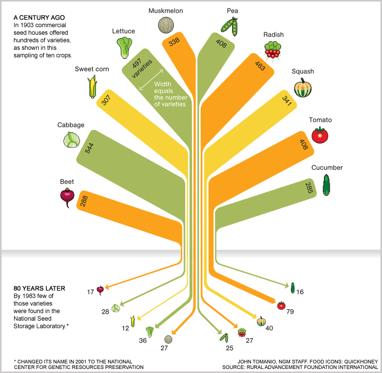 food-variety-tree-754