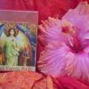 April 16-22, Doreen's Weekly Oracle Card Reading