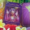 April 23-29, 2012, Doreen's Weekly Oracle Card Reading