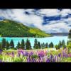 Claim the Mastery - a message from Kryon, July 8, 2012