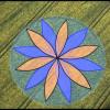 Crop Circle 2012 decoded Part 1/1. Agrogramas 2012 decodificados Parte 1/1