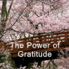 The Power of Gratitude