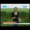 Huge Crop Circle appears in Krasnodar, Russia. May 23, 2011 (Re-upload)