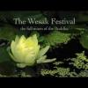 THE WESAK FESTIVAL - the full moon of the Buddha