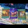 Dec 3 - 9, Doreen's Weekly Oracle Card Reading