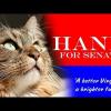 Hank the Cat for Senate? Vote the Humans Out!