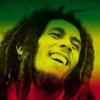 Bob Marley - Coming In From The Cold + Lyrics