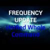 What to Expect for 2013 ~ Frequency Update