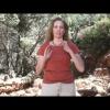 Light Language Transmission with Jamye Price - April 2013